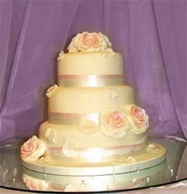 Pink Roses & Petals